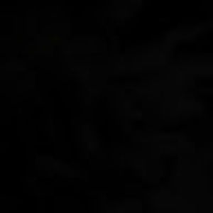 Meet your Posher, Connor